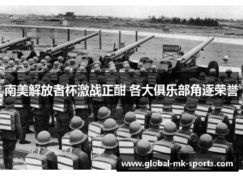 南美解放者杯激战正酣 各大俱乐部角逐荣誉